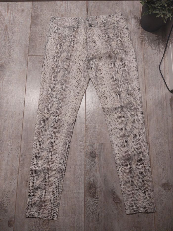 Jean léger python - photo numéro 3