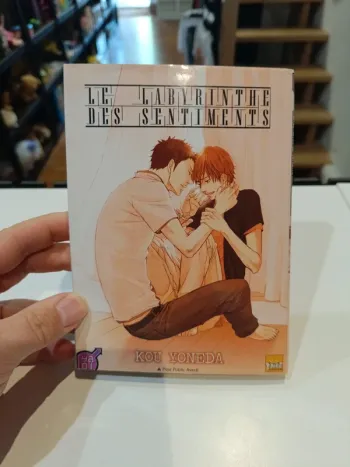 Yaoi Le labyrinthe des sentiments