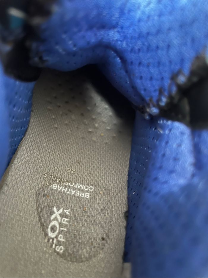 Geox dragon bleu 26 - photo numéro 6