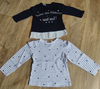 Lot 2 tee-shirts manches longues fille