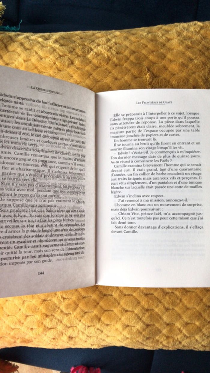 Livre la quête d Ewilan - photo numéro 3
