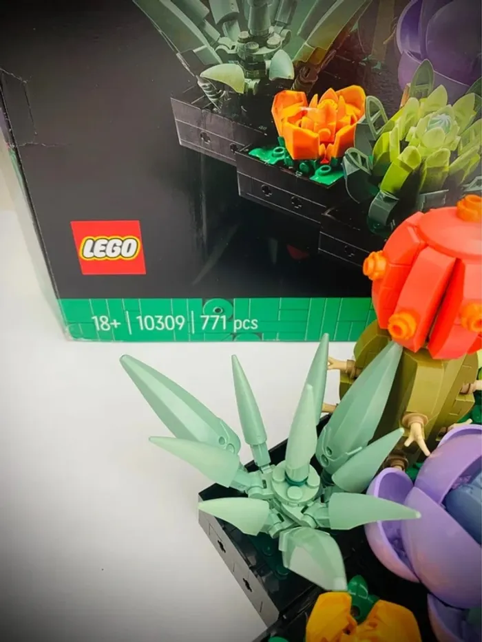 LEGO Icons 10309 - Les Succulents - Complet avec Boîte - photo numéro 11