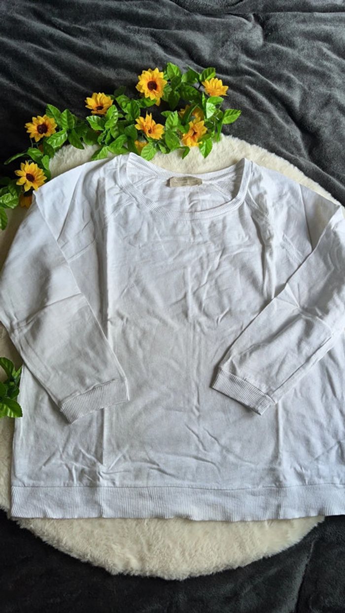 Lot 3 tee shirts manches longues zara - photo numéro 7