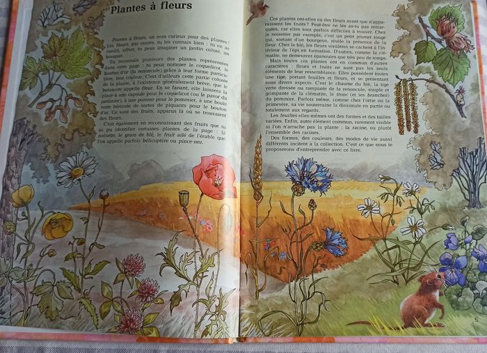 💐 Livre les fleurs et la botanique Epigones 💐 - photo numéro 2