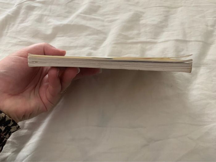 Flaubert un cœur simple - photo numéro 5