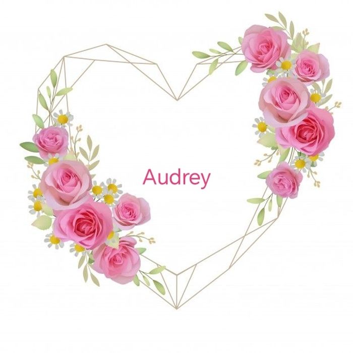 Lot Audrey