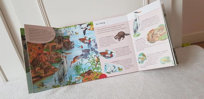 Livre documentaire le monde des animaux - photo numéro 3