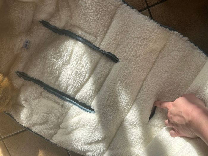 Chancelière - photo numéro 3