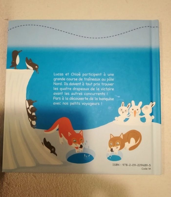 La course sur la banquise - photo numéro 2