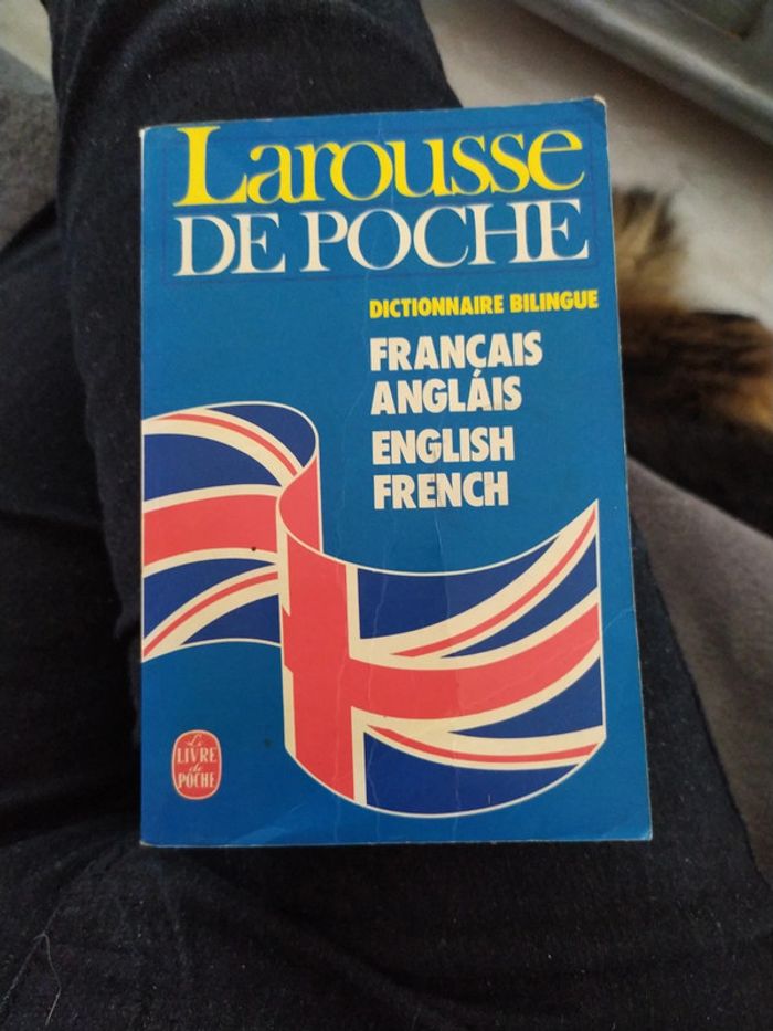 Dictionnaire bilingue