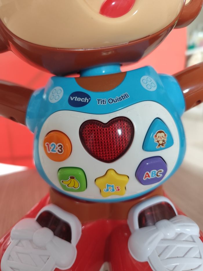 Titi ouistiti - photo numéro 3