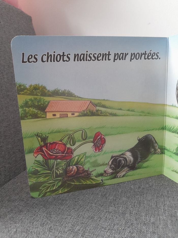 Livre cartonné 2002 : Les animaux de la ferme, La chienne et les chiots - photo numéro 6