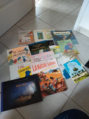 Lot 16 livres histoires albums jeunesse
