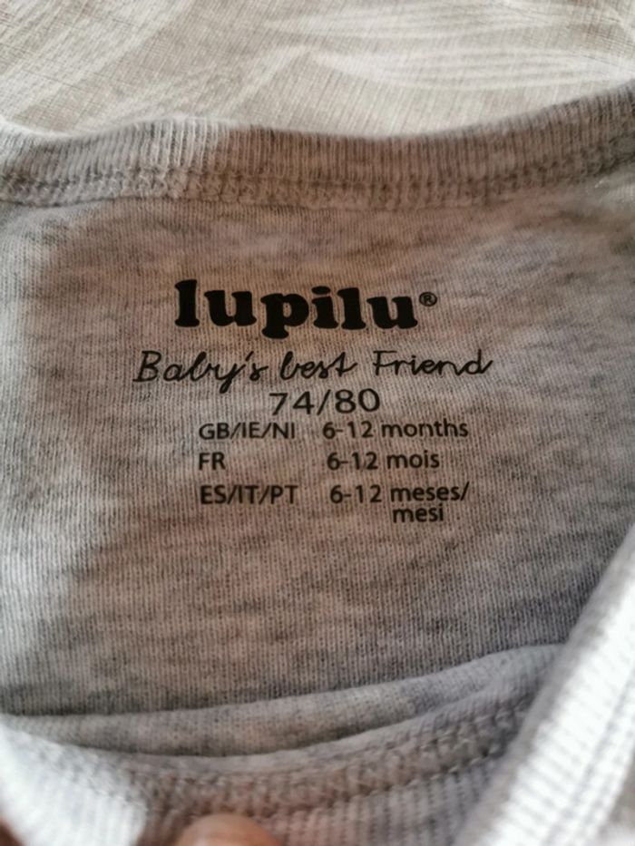 Bodie 12 mois - photo numéro 2