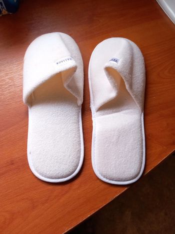 🌈Chaussons T42 Sofitel collector Neuf