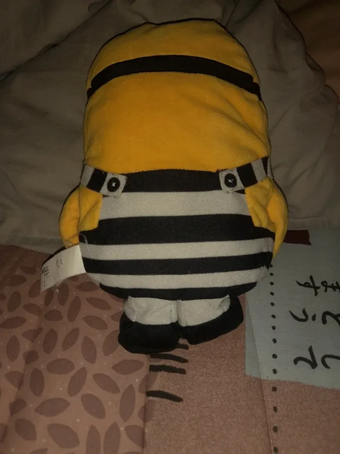 Minion prisonnier - photo numéro 2