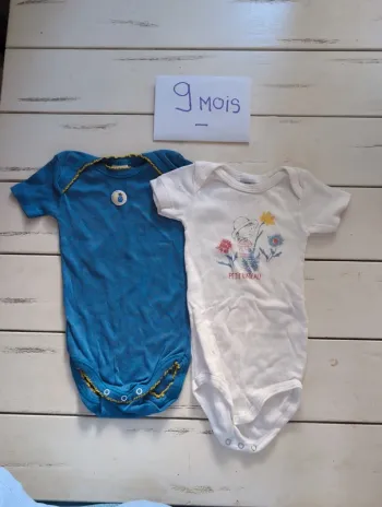Deux bodies manches courtes bébé fille 9 mois