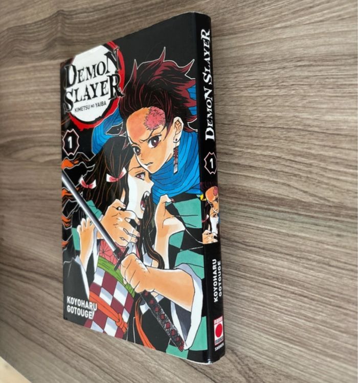 Manga « Demon Salyer » - photo numéro 2