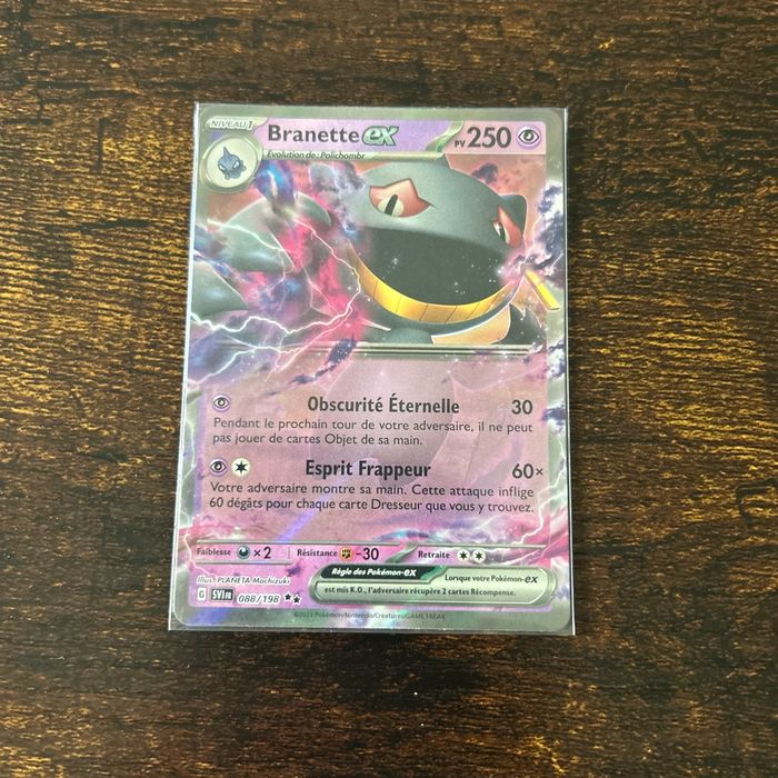Carte Pokémon - Branette Ex