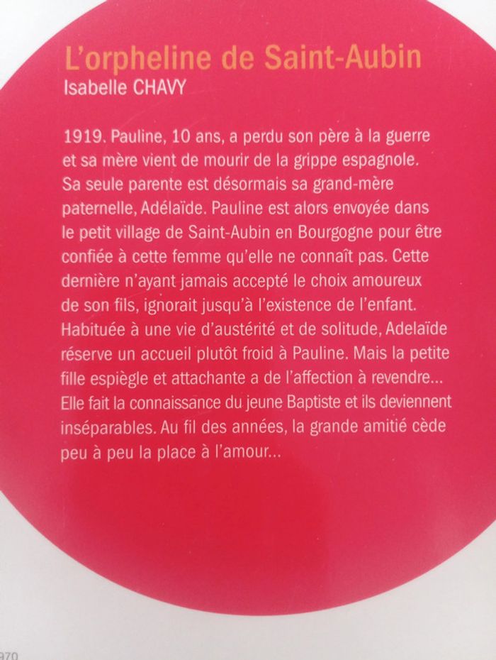 Isabelle Chavy - L'orpheline de Saint-Aubin - photo numéro 3