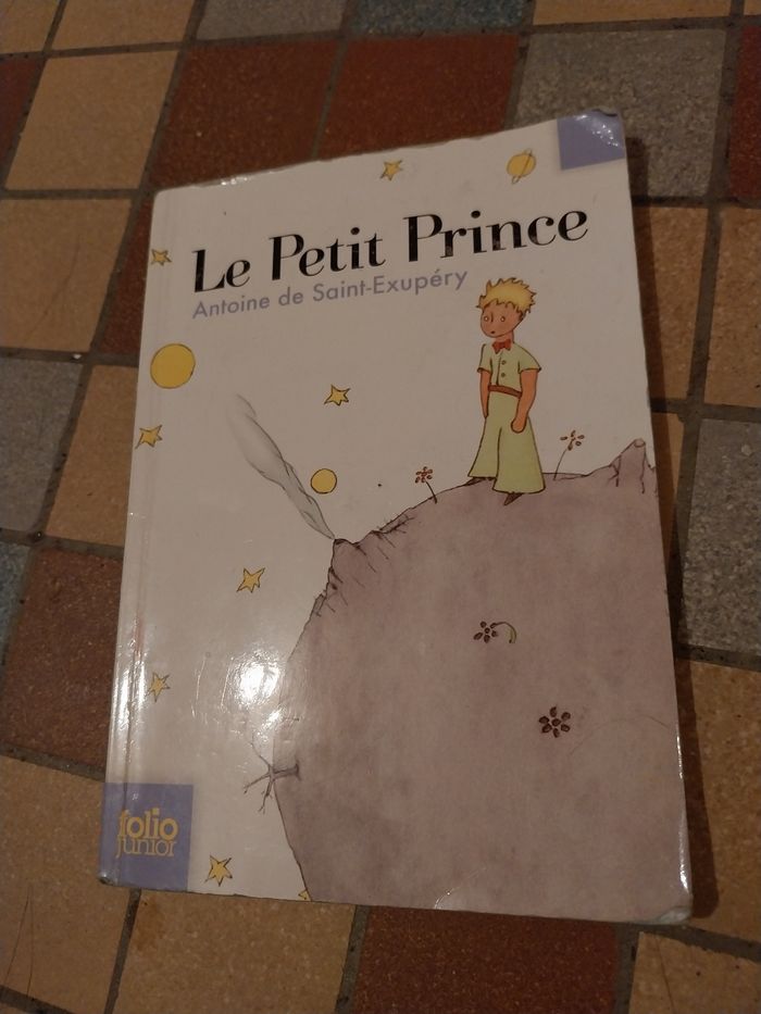 Le petit prince de st Exupery de Folio junior