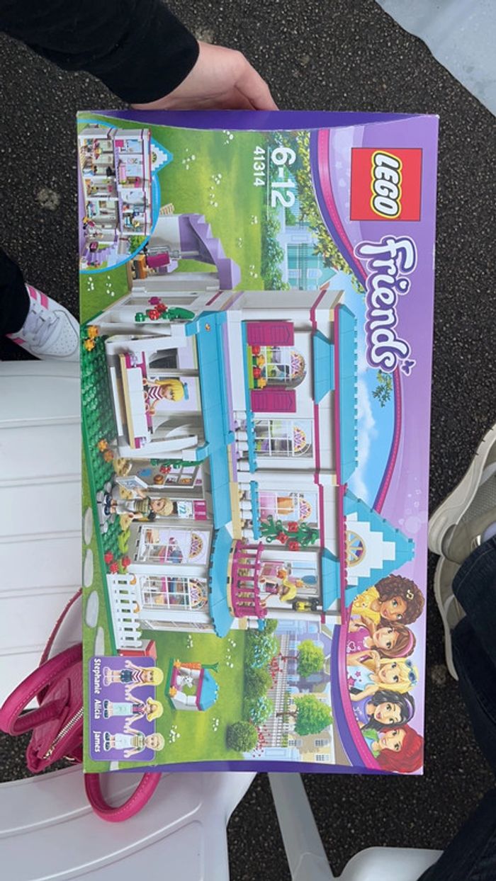 lego friend 41314