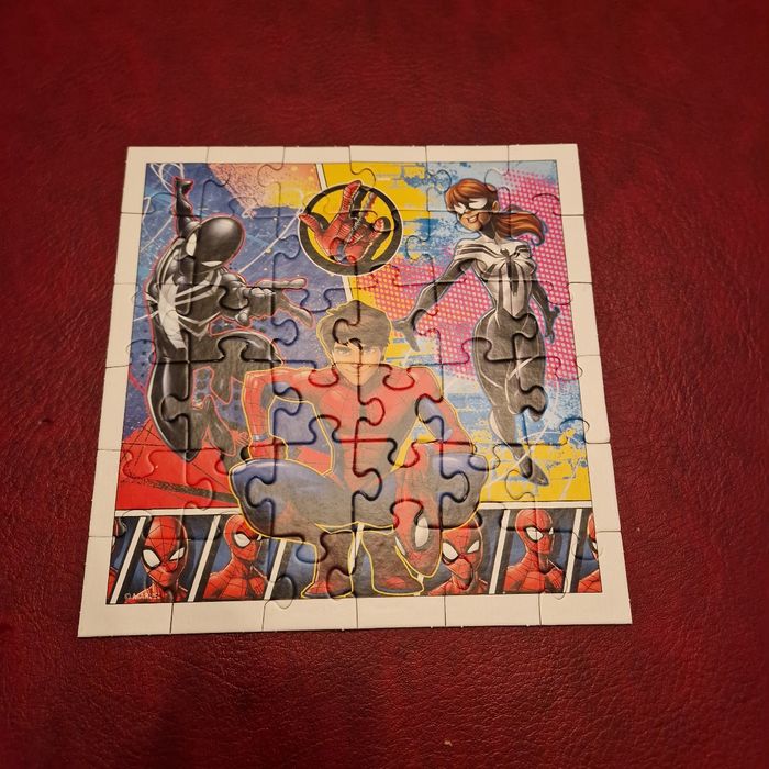 Puzzle spiderma