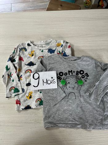 Lot 2 t-shirt manches longues garçon 9 mois