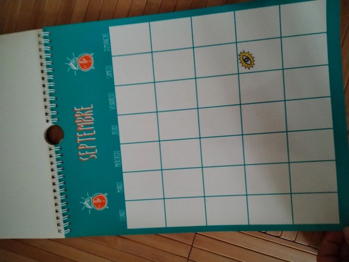 Organiseur, planner effaçable - photo numéro 4