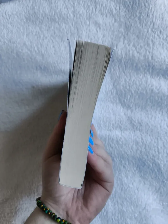 Livre "Havenfall" - photo numéro 4