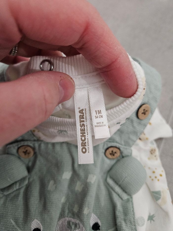 Grenouillère - photo numéro 2