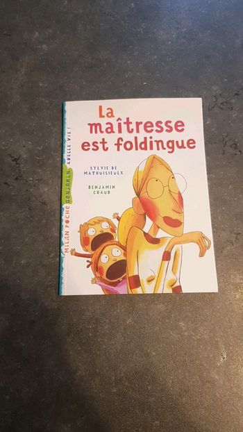Livre la maîtresse est foldingue
