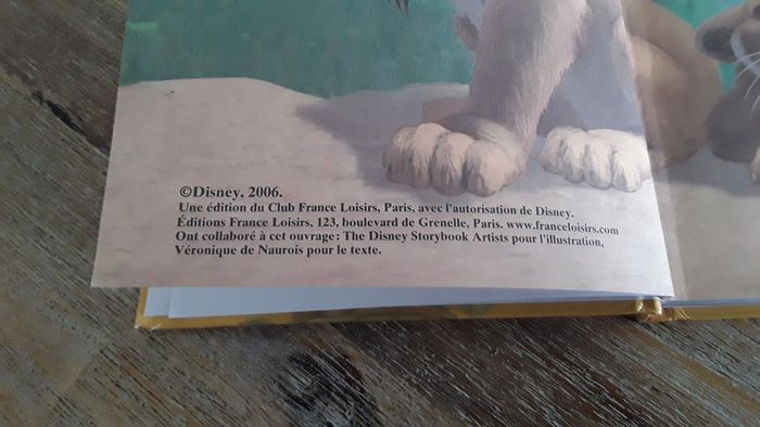 Livre "The wild" Disney - photo numéro 5