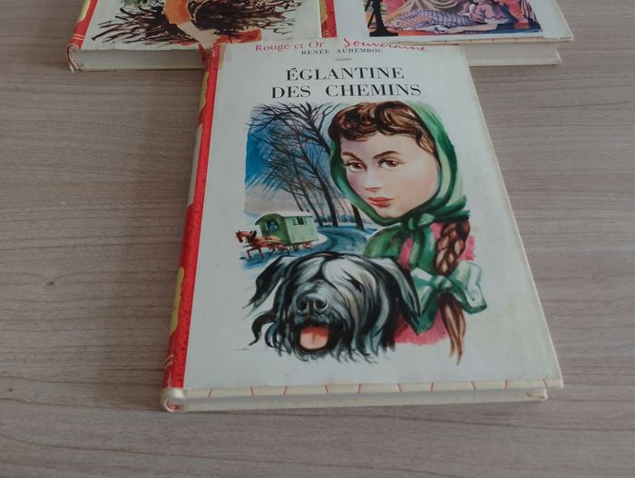 Lot de 3 livres, Divers (idéal bibliothèque)(10) - photo numéro 3