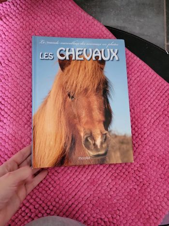 Livre les cheveux idéal enfant magnifique texte et photos