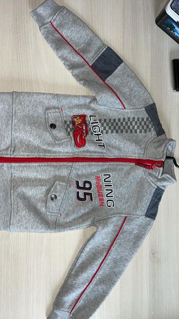Veste cars