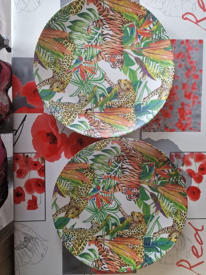 Assiettes plastiques