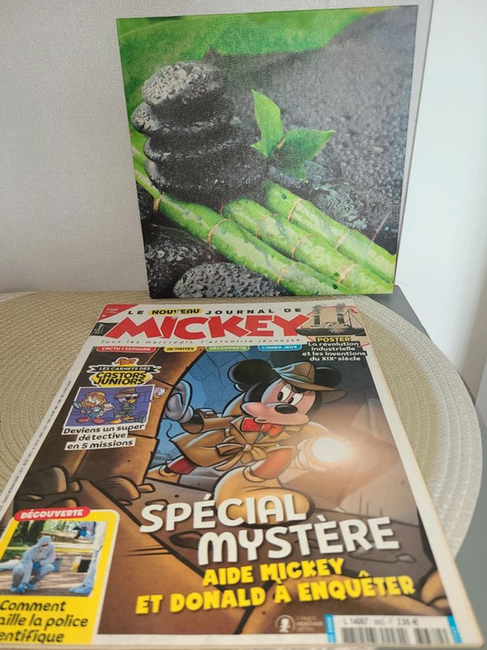 Livre Le Journal de Mickey - photo numéro 5
