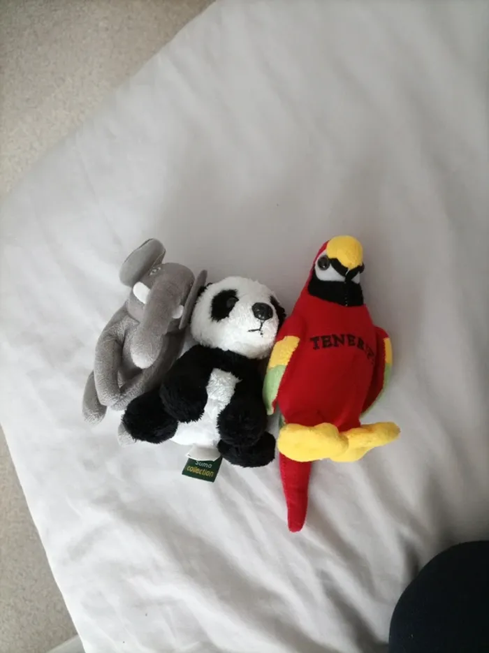 Animaux de la jungle