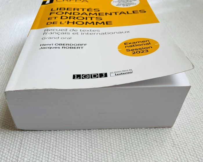 Manuel Libertés fondamentales et droits de l’homme - Oberdoff et Robert jaune en très bon état - photo numéro 7