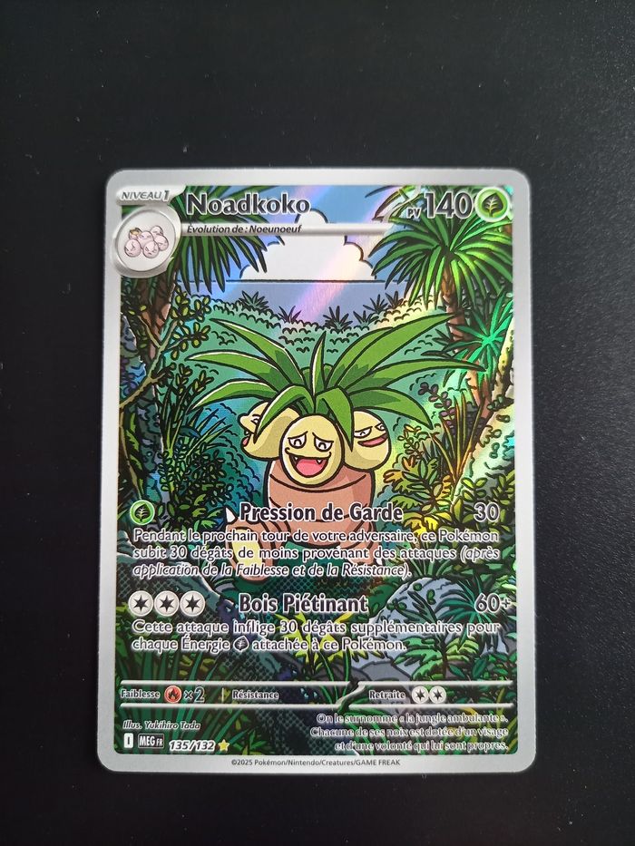 Carte Pokémon Noadkoko 135/132 AR ME01
