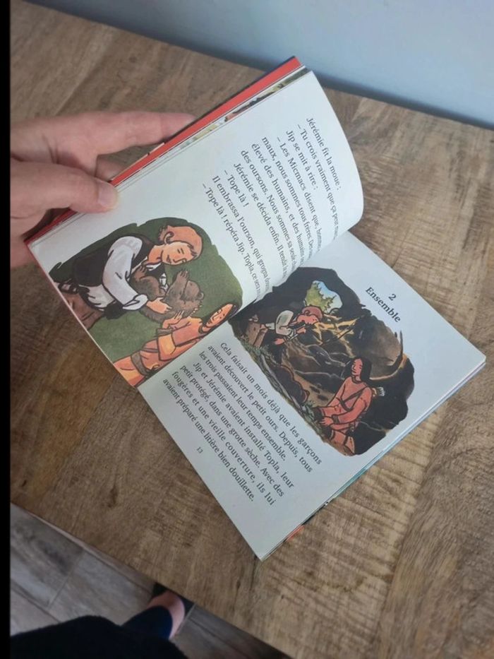 Livre enfant j'aime lire l'ami sauvage - photo numéro 5
