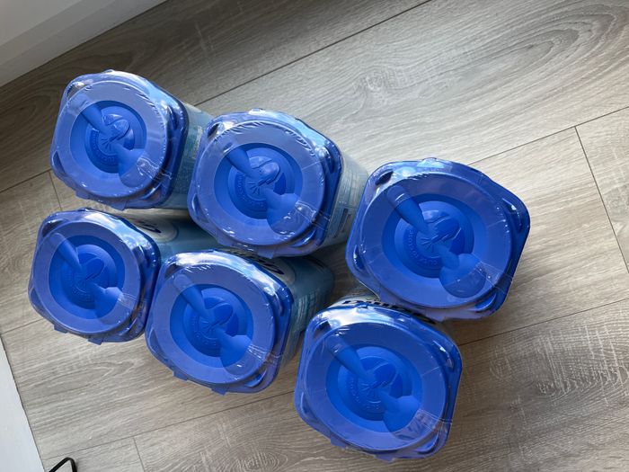 Gallia callisma 4 - photo numéro 4