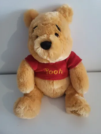 Peluche winnie