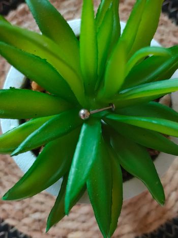 🌿Piercing labret acier chirurgical🌿