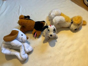 4 peluches chien