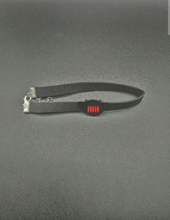 Bijou Miraculous du dragon – univers Ladybug (livre)