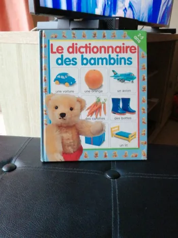 Le dictionnaire des bambins