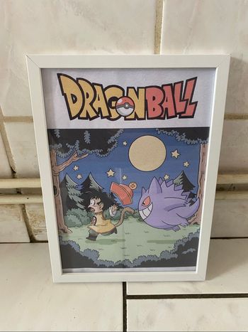 Cadre dragon ball pokemon
