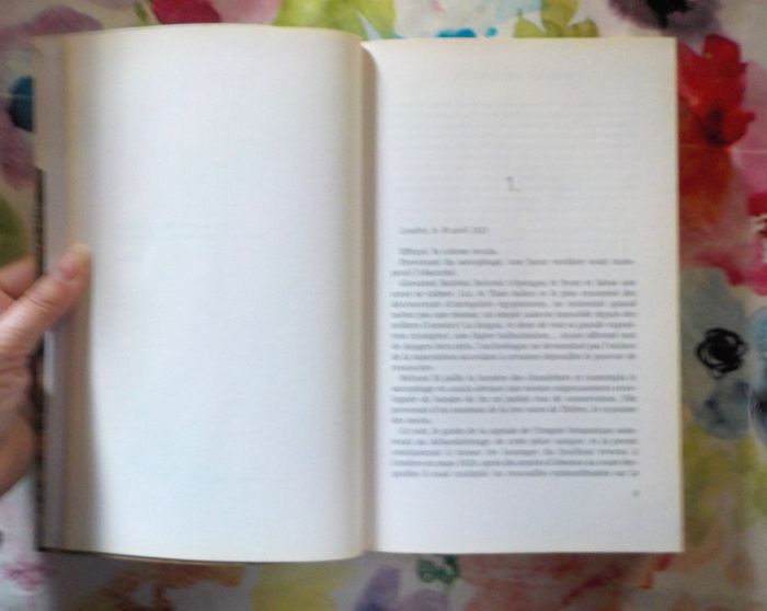 LE PROCES DE LA MOMIE de Christian JACQ Ed. de Noyelles - photo numéro 6